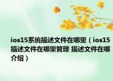 ios15系統(tǒng)描述文件在哪里（ios15描述文件在哪里管理 描述文件在哪介紹）