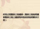 村民占用集體土地建房（集體土地如何建房集體土地上建房有糾紛應該如何解決介紹）