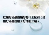 紅柚好還是白柚好有什么區(qū)別（紅柚好還是白柚子好詳細(xì)介紹）