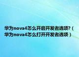 華為nova4怎么開啟開發(fā)者選項?（華為nova4怎么打開開發(fā)者選項）
