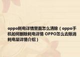 oppo耗電詳情里面怎么清除（oppo手機(jī)如何刪除耗電詳情 OPPO怎么去除消耗電量詳情介紹）