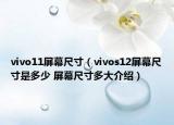 vivo11屏幕尺寸（vivos12屏幕尺寸是多少 屏幕尺寸多大介紹）