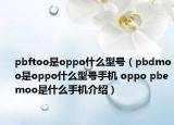 pbftoo是oppo什么型號(hào)（pbdmoo是oppo什么型號(hào)手機(jī) oppo pbemoo是什么手機(jī)介紹）
