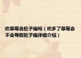 吃草莓會肚子痛嗎（吃多了草莓會不會導致肚子痛詳細介紹）