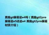 真我gt屏幕是e4嗎（真我gt2pro屏幕是e5還是e4 真我gt2pro屏幕材質(zhì)介紹）