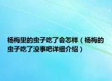楊梅里的蟲子吃了會怎樣（楊梅的蟲子吃了沒事吧詳細介紹）
