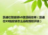 凱迪仕智能鎖k9激活碼在哪（凱迪仕K9指紋鎖怎么遠(yuǎn)程授權(quán)開鎖）