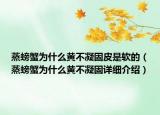 蒸螃蟹為什么黃不凝固皮是軟的（蒸螃蟹為什么黃不凝固詳細介紹）
