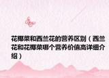 花椰菜和西蘭花的營(yíng)養(yǎng)區(qū)別（西蘭花和花椰菜哪個(gè)營(yíng)養(yǎng)價(jià)值高詳細(xì)介紹）