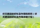 伏天曬背的好處及作用和時間（伏天曬背的好處及作用詳細介紹）