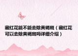 藏紅花能不能去除黃褐斑（藏紅花可以去除黃褐斑嗎詳細介紹）