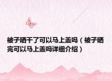 被子曬干了可以馬上蓋嗎（被子曬完可以馬上蓋嗎詳細介紹）