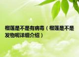 榴蓮是不是有病毒（榴蓮是不是發(fā)物呢詳細(xì)介紹）