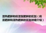 濕熱肥胖和痰濕型肥胖的區(qū)別（痰濕肥胖和濕熱肥胖的區(qū)別詳細(xì)介紹）