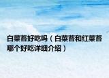 白菜苔好吃嗎（白菜苔和紅菜苔哪個(gè)好吃詳細(xì)介紹）