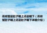 蒸螃蟹是肚子朝上還是朝下（蒸螃蟹肚子朝上還是肚子朝下詳細介紹）