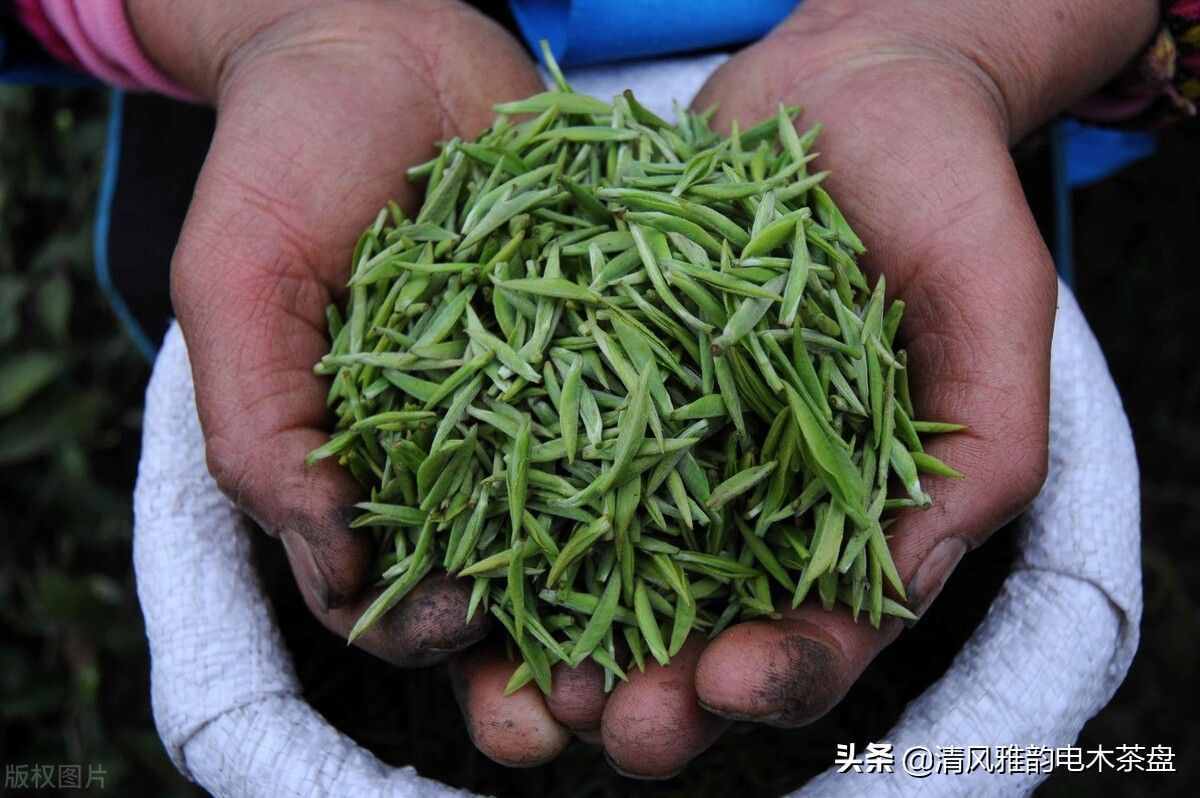 中國十大名茶，每天喝茶的你知道嗎？