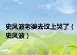 史風(fēng)波老婆去墳上哭了（史風(fēng)波）