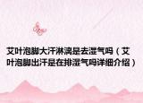 艾葉泡腳大汗淋漓是去濕氣嗎（艾葉泡腳出汗是在排濕氣嗎詳細介紹）