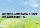 核酸檢測怎么查結(jié)果2022（核酸檢測怎么查結(jié)果詳細介紹）