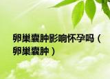 卵巢囊腫影響懷孕嗎（卵巢囊腫）