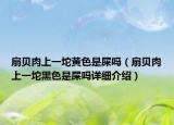 扇貝肉上一坨黃色是屎嗎（扇貝肉上一坨黑色是屎嗎詳細介紹）