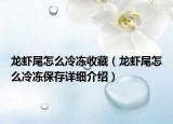 龍蝦尾怎么冷凍收藏（龍蝦尾怎么冷凍保存詳細(xì)介紹）
