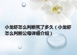 小龍蝦怎么判斷死了多久（小龍蝦怎么判斷公母詳細(xì)介紹）