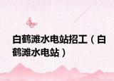 白鶴灘水電站招工（白鶴灘水電站）