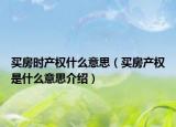 買(mǎi)房時(shí)產(chǎn)權(quán)什么意思（買(mǎi)房產(chǎn)權(quán)是什么意思介紹）
