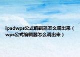 ipadwps公式編輯器怎么調(diào)出來（wps公式編輯器怎么調(diào)出來）