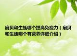 扇貝和生蠔哪個提高免疫力（扇貝和生蠔哪個有營養(yǎng)詳細(xì)介紹）