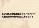 山西省忻州繁峙縣有多少個村（西溝村 山西省忻州市繁峙縣巖頭鄉(xiāng)下轄村）