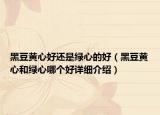 黑豆黃心好還是綠心的好（黑豆黃心和綠心哪個好詳細介紹）