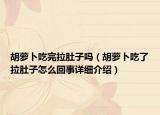 胡蘿卜吃完拉肚子嗎（胡蘿卜吃了拉肚子怎么回事詳細(xì)介紹）