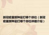 新冠疫苗接種是打哪個(gè)部位（新冠疫苗接種是打哪個(gè)部位詳細(xì)介紹）