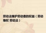 勞動(dòng)法維護(hù)勞動(dòng)者的權(quán)益（勞動(dòng)維權(quán) 勞動(dòng)法）