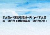 怎么在pdf里面在增加一頁(yè)（pdf怎么增加一頁(yè)內(nèi)容 pdf如何添加一頁(yè)內(nèi)容介紹）