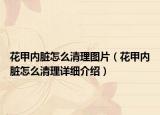 花甲內(nèi)臟怎么清理圖片（花甲內(nèi)臟怎么清理詳細(xì)介紹）