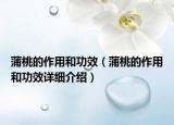 蒲桃的作用和功效（蒲桃的作用和功效詳細(xì)介紹）