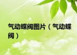 氣動(dòng)蝶閥圖片（氣動(dòng)蝶閥）