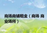 商場商鋪?zhàn)饨穑ㄉ虉?商業(yè)場所）