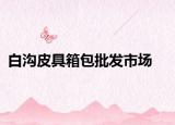 白溝皮具箱包批發(fā)市場(chǎng)