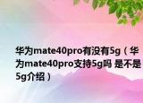 華為mate40pro有沒有5g（華為mate40pro支持5g嗎 是不是5g介紹）