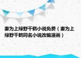 妻為上綠野千鶴小說(shuō)免費(fèi)（妻為上 綠野千鶴同名小說(shuō)改編漫畫(huà)）