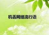 機(jī)丟網(wǎng)絡(luò)流行語