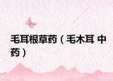 毛耳根草藥（毛木耳 中藥）