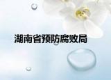 湖南省預(yù)防腐敗局
