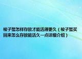 梭子蟹怎樣存放才能活得更久（梭子蟹買(mǎi)回來(lái)怎么存放能活久一點(diǎn)詳細(xì)介紹）