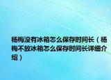 楊梅沒有冰箱怎么保存時間長（楊梅不放冰箱怎么保存時間長詳細介紹）